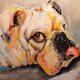 Hond Harrie - Frans___serialized4